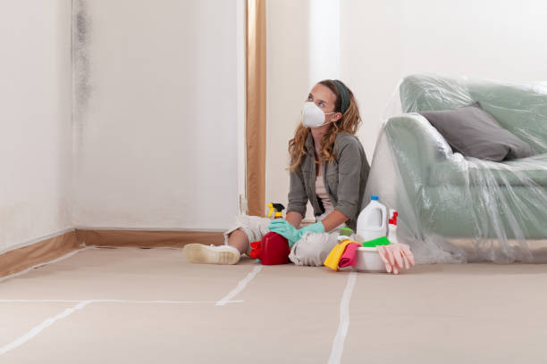 Reliable Hvac And Air Duct Mold Remediation contractor in Shrewsbury, NJ by 24 Hour Mold Removal